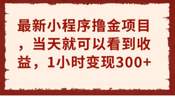 （5255期）最新小程序撸金项目，当天就可以看到收益，1小时变现300+【揭秘】