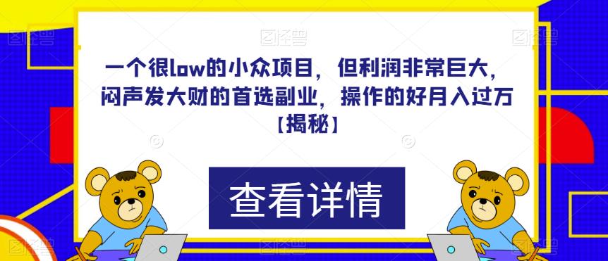 （4835期）一个很low的小众项目，但利润非常巨大，闷声发大财的首选副业，操作的好月入过万【揭秘】