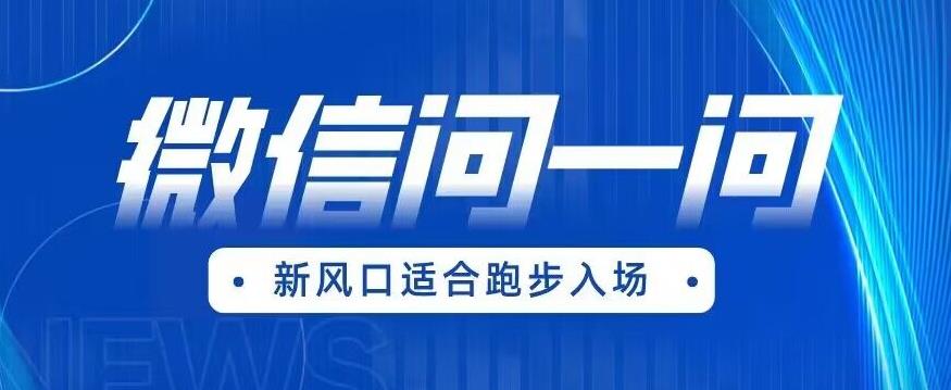 （4763期）全网首发微信问一问新风口变现项目（价值1999元）【揭秘】