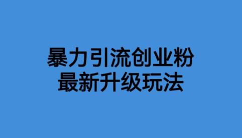 （4459期）价值1980一千个野路子暴力引流最新升级玩法【揭秘】