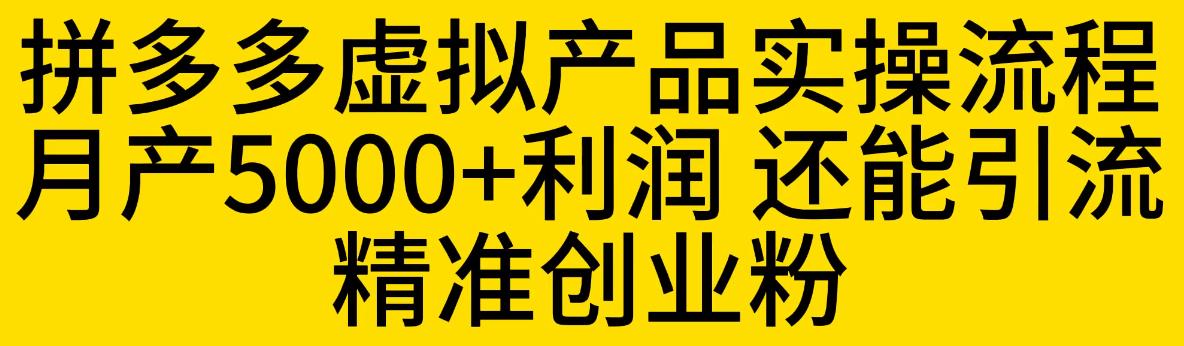 （4627期）拼多多虚拟产品实操流程，月产5000+利润，还能引流精准创业粉【揭秘】