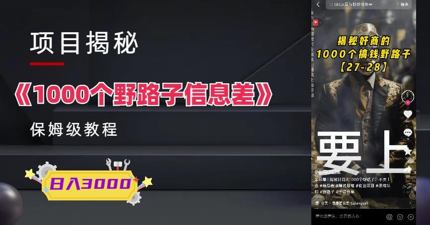 （4272期）1000个野路子信息差保姆式教程-单日变现3000+的玩法解密