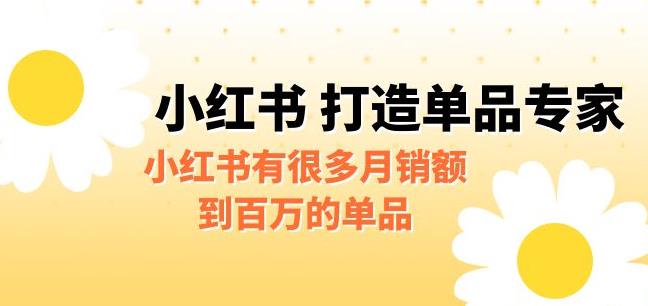 （4736期）某公众号付费文章《小红书打造单品专家》小红书有很多月销额到百万的单品