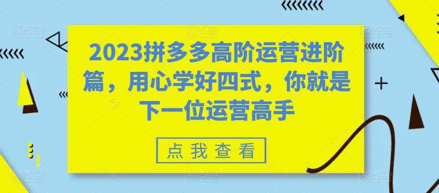 （4345期）2023拼多多高阶运营进阶篇，用心学好四式，你就是下一位运营高手