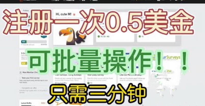 （4456期）国外项目注册一次0.5美金，只需三分钟无脑操作，可批量同时放大操作，小白工作室福利【揭秘】