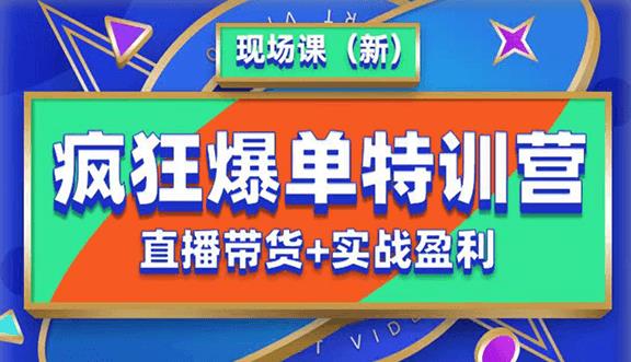 （4394期）抖音短视频疯狂爆单特训营现场课（新）直播带货+实战案例