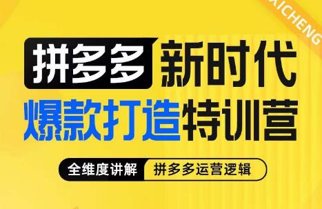 （5198期）玺承·拼多多新时代爆款打造特训营，全维度讲解拼多多运营逻辑