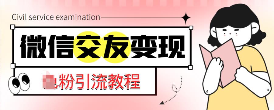 微信交友变现项目，吸引全网LSP男粉精准变现，小白也能轻松上手，日入500+