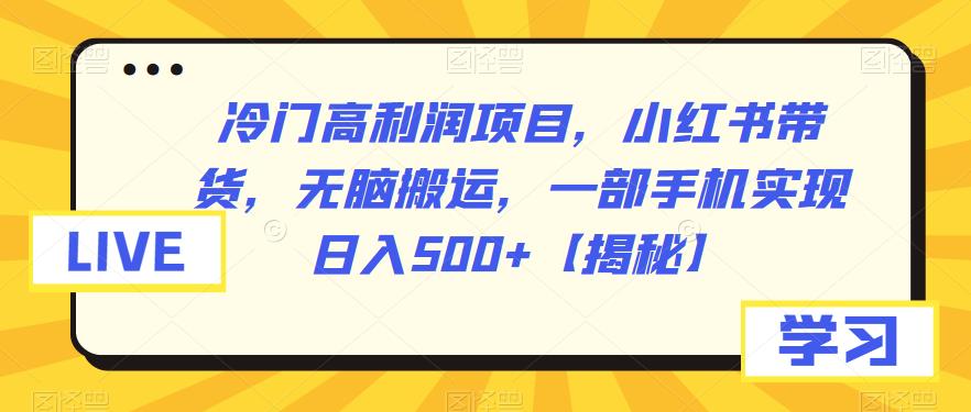 （4893期）冷门高利润项目，小红书带货，无脑搬运，一部手机实现日入500+【揭秘】