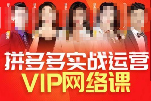 （5199期）推易拼多多VIP全套直播课程，拼多多店铺实操玩法+实战玩法选款内功+直通车高阶等