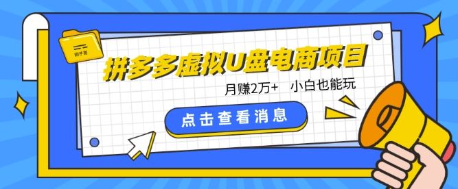 拼多多虚拟U盘电商红利项目：月赚2万+，新手小白也能玩